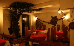 Hotel Teddy House